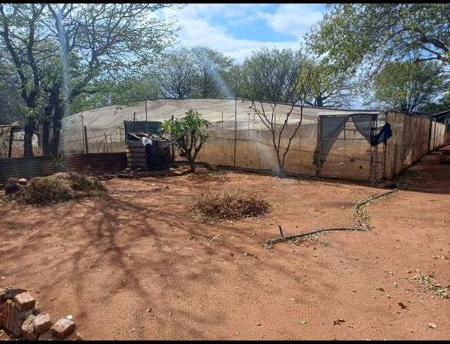 FARM FOR SALE IN MUSINA
